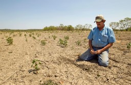 Ускорить подготовку документов для компенсации ущерба причиненного засухой