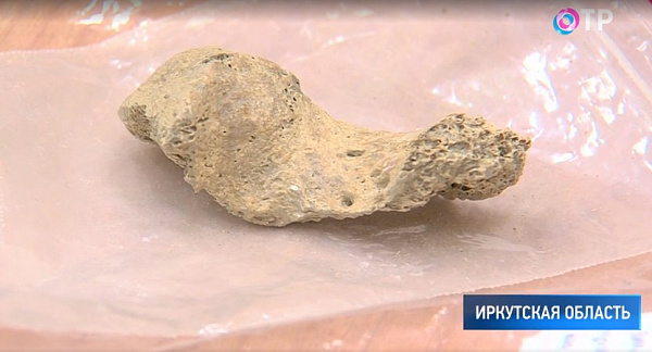 В Бурятии нашли человеческие кости возрастом 50 тысяч лет