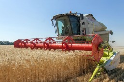 Аграрии района собирают урожай зерна