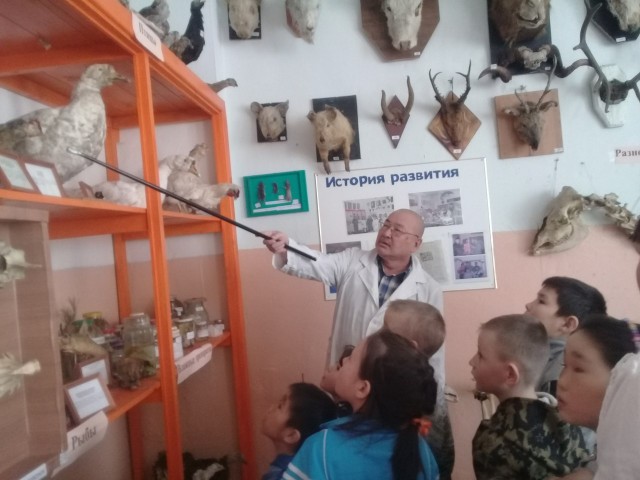 ​Чучела животных как учебные пособия в морфологическом музее при Могойтуйском техникуме
