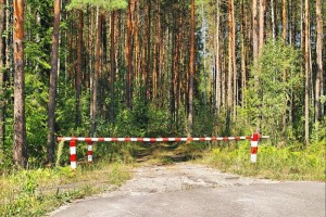 Ограничено пребывание граждан в лесах Агинского и Дульдургинского районов