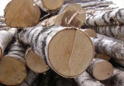 ​В округе стартовала кампания по заготовке дров