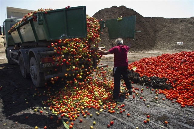Свыше 4 тонн санкционных яблок из США раздавили на полигоне отходов в Забайкальске
