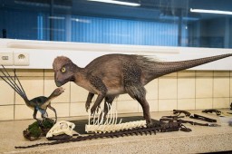 Уникальному забайкальскому динозавру угрожают «черные копатели»