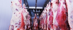 Вывоз мяса запрещён из Забайкалья из-за вспышки ящура