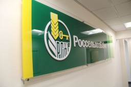Россельхозбанк в крае начал финансирование аграриев по новой программе льготного кредитования