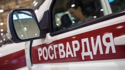 Росгвардейцы задержали подозреваемых в краже телефона за 30 тыс. руб. в Агинском