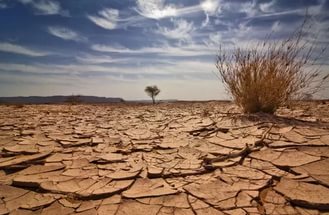 Хозяйства получат компенсацию ущерба, причиненного засухой в 2016 году