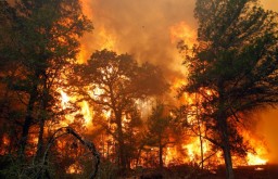 Два лесных пожара потушили в нацпарке «Алханай»