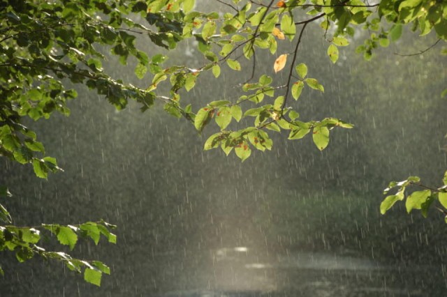 Август в Забайкалье станет самым дождливым месяцем лета