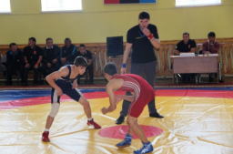 Шесть медалей выиграли забайкальские борцы на первенстве СФО в Агинском округе