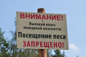 Власти края продлили запрет на посещение лесов до 18 июля
