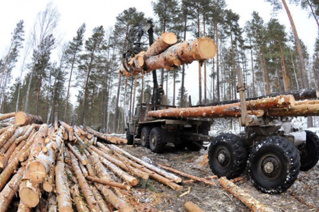 Забайкалье и Бурятия договорились бороться с незаконным оборотом древесины