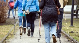 В день здоровья стартует новый проект для любителей скандиновский ходьбы