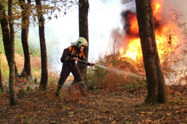 Забайкалье получит 62,6 млн руб на погашение долгов за тушение лесных пожаров