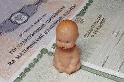 Заявку на забайкальский маткапитал можно будет подать до 1 июля 2018 года