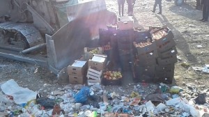 Россельхознадзор в Забайкалье уничтожил 1,4 тонны санкционных яблок и груш из Польши