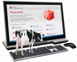 С 1 января 2018 года в России электронная ветеринарная сертификация станет обязательной