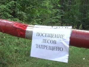 Запрет на посещение лесов в Забайкалье продлили до 16 мая
