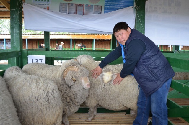 СПК «Племзавод «Ушарбай» и СПК «Кункур» стали обладателями главных призов выставки овец и коз 2