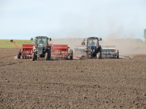 Аграрии Агинского Бурятского округа перевыполнили план по посеву пшеницы