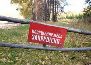 Жданова запретила посещать леса Забайкалья на три недели