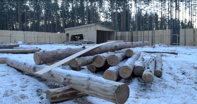 Семейную пару задержали за организацию незаконных рубок леса в Забайкалье 3