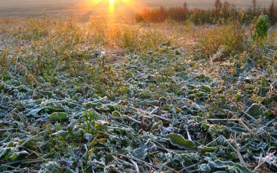 Похолодание до 12 градусов мороза ожидается в Забайкалье на выходных 6 и 7 октября