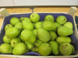 Россельхознадзор Забайкалья вернул 18,57 тонны фруктов в Китай из-за заражённых груш