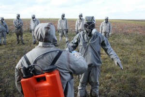 Медики Забайкалья заявили о риске завоза сибирской язвы в регион