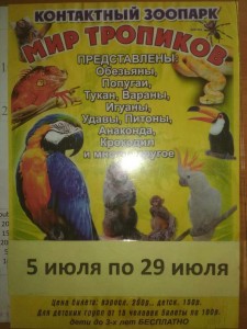 В Агинском национальном музее имени Г.Ц Цыбикова приехал контактный зоопарк!
