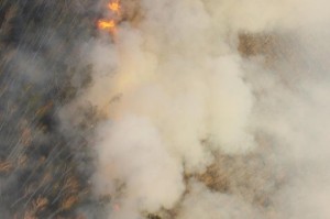 Приёмные Генпрокуратуры РФ будут работать в пострадавших от пожаров районах Забайкалья