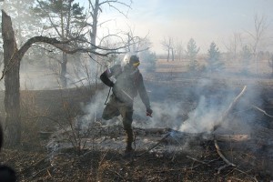 Пожарные в Забайкалье потушили 38 из 40 лесных пожаров в первые сутки за 2019 г.
