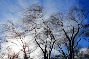 Сильный ветер и резкие перепады температур ожидаются в Забайкалье на этой неделе