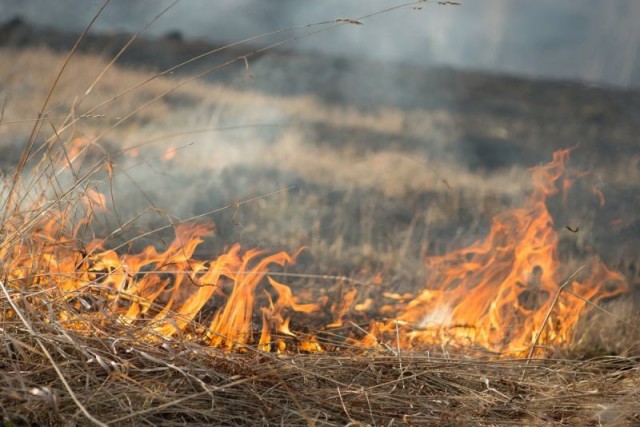 Суд оштрафовал 25 поджигателей сухой травы на 101 тыс. руб. с начала пожароопасного сезона