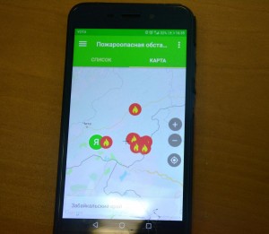 Запущено мобильное приложение "Берегите лес"