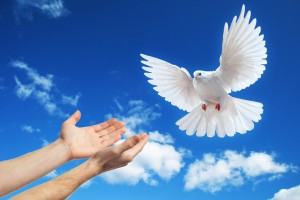 Агинский ДДТ запускает интернет-акцию "Дети за мирное небо"