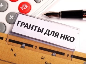 Стартовал конкурс грантов для НКО Забайкальского края